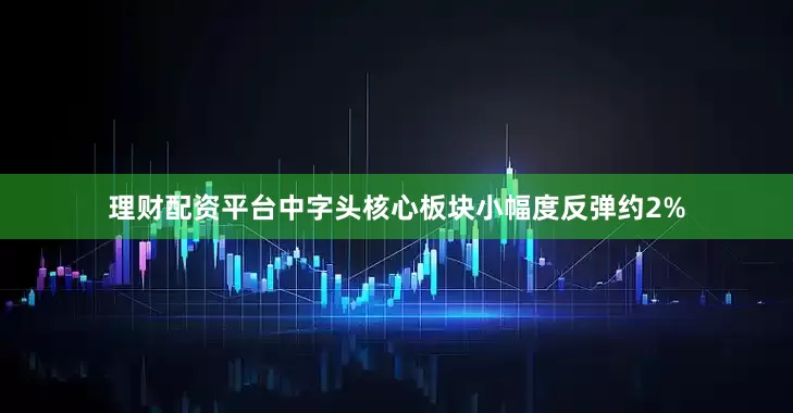 理财配资平台中字头核心板块小幅度反弹约2%