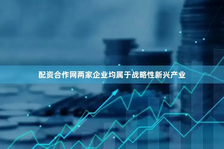 配资合作网两家企业均属于战略性新兴产业