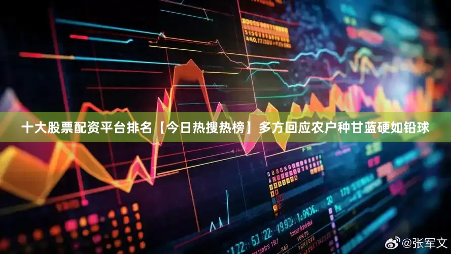 十大股票配资平台排名【今日热搜热榜】多方回应农户种甘蓝硬如铅球