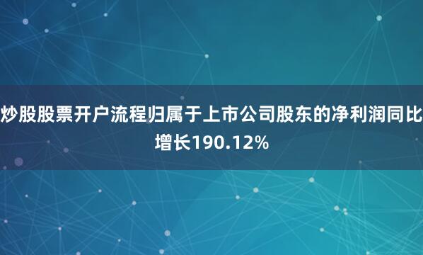 炒股股票开户流程归属于上市公司股东的净利润同比增长190.12%