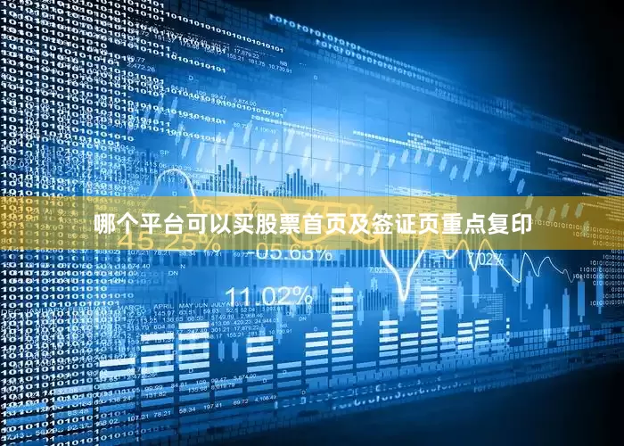 哪个平台可以买股票首页及签证页重点复印