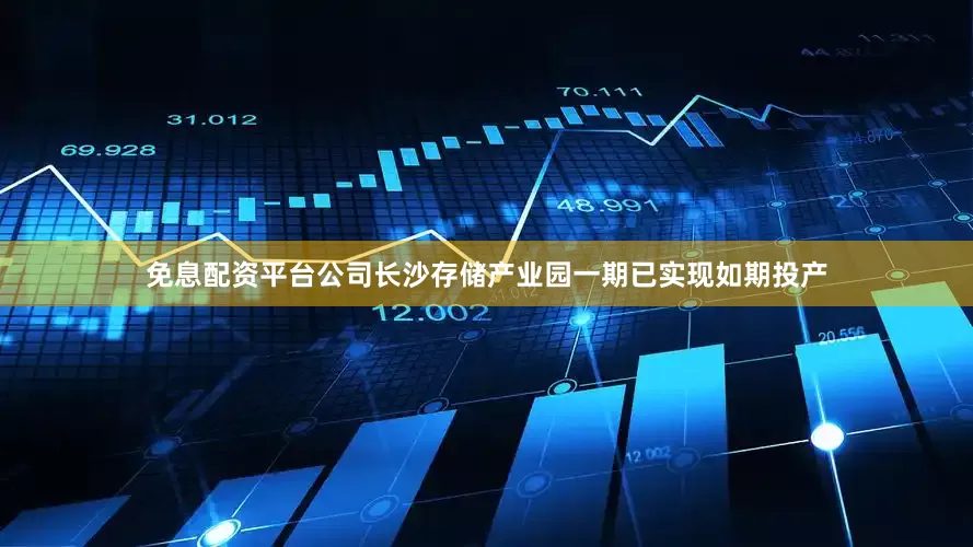 免息配资平台公司长沙存储产业园一期已实现如期投产